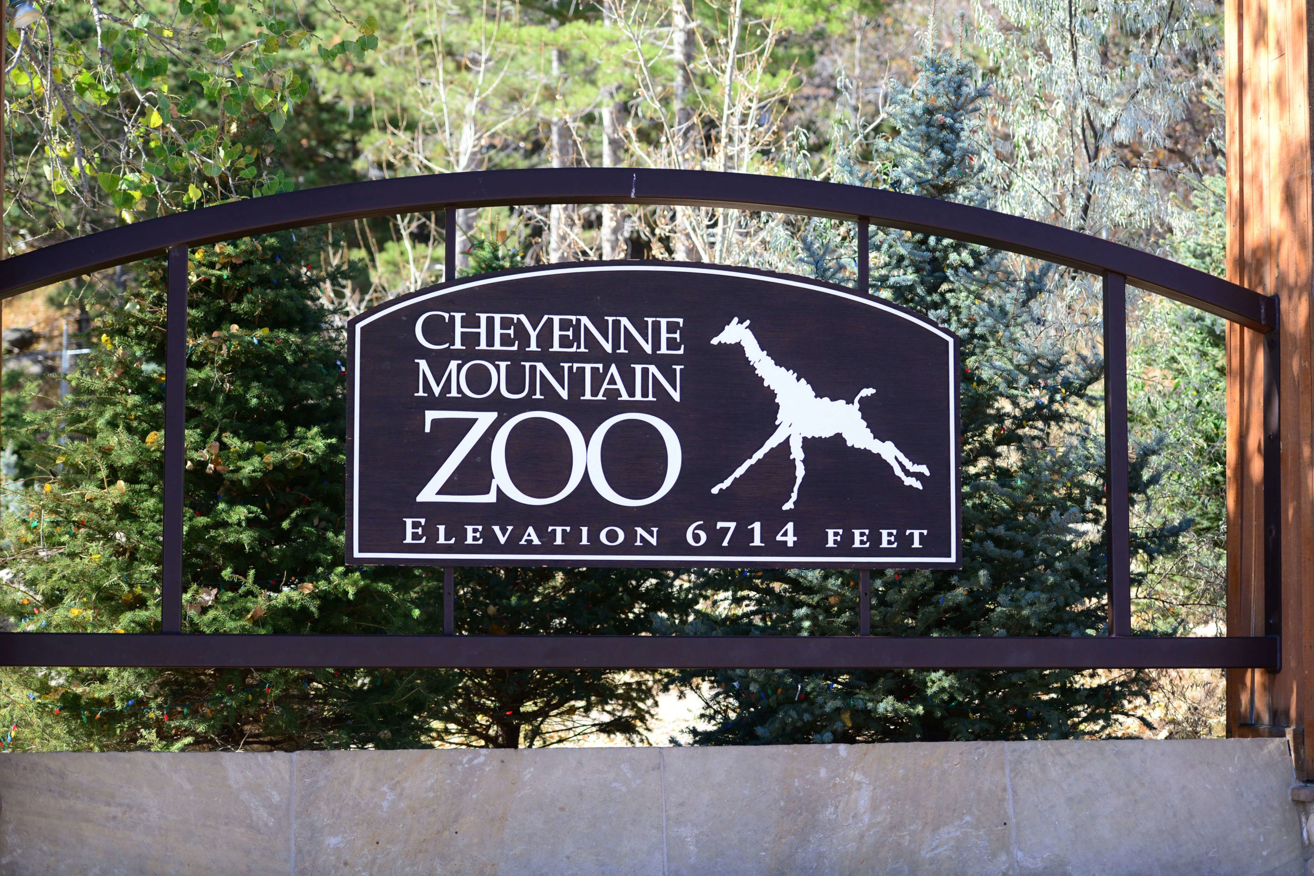 The Cheyenne Mountain Zoo In Colorado Springs Co