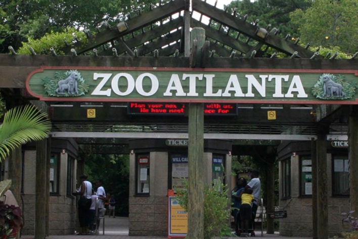 The Atlanta Zoo Military Discount