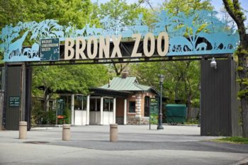 The Bronx Zoo Military Discount