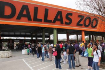 The Dallas Zoo Military Discount