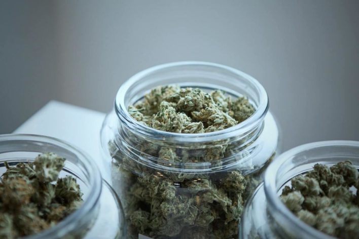 medical marijuana cards